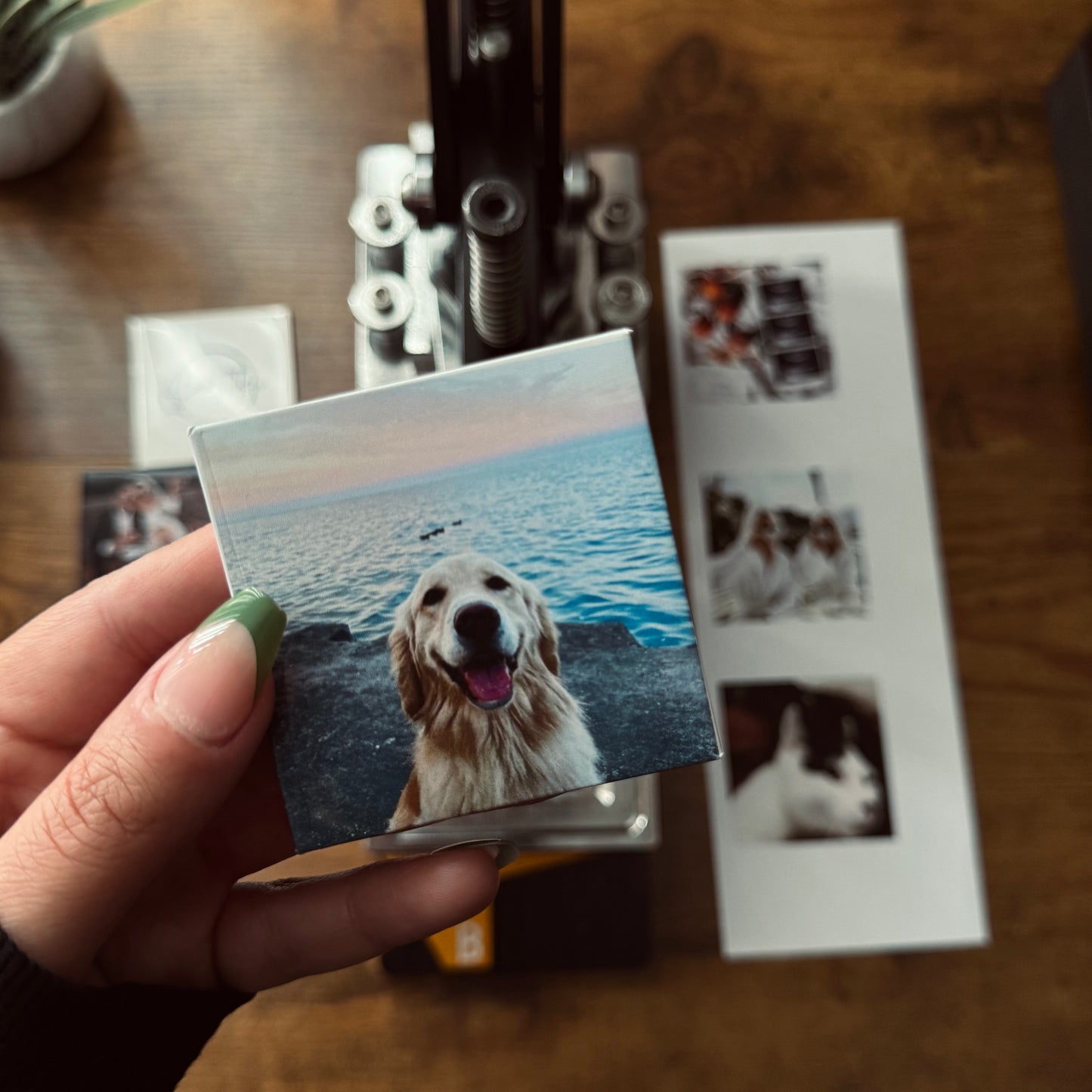 Custom Photo Fridge Magnets